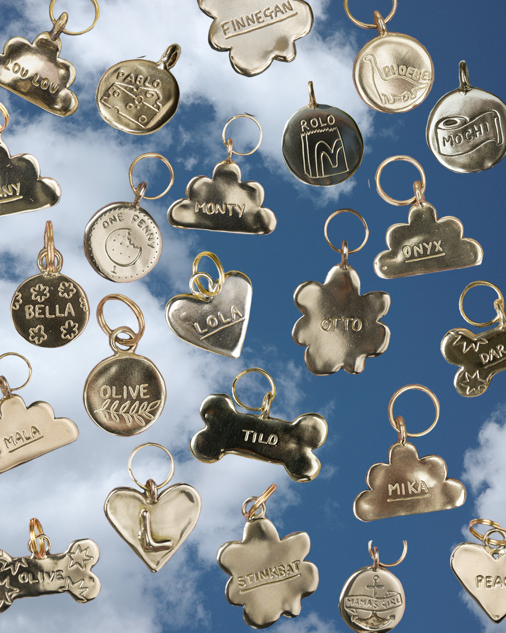 Cloud Pet Tag | Got The Goods